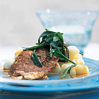 Lekkere roodbaars met zeeaster!