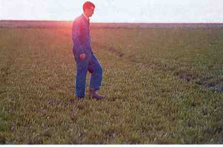 De zon gaat onder...